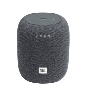 Оригінальна акустична система JBL LINK MUSIC GREY (JBLLINKMUSICGRYEU)